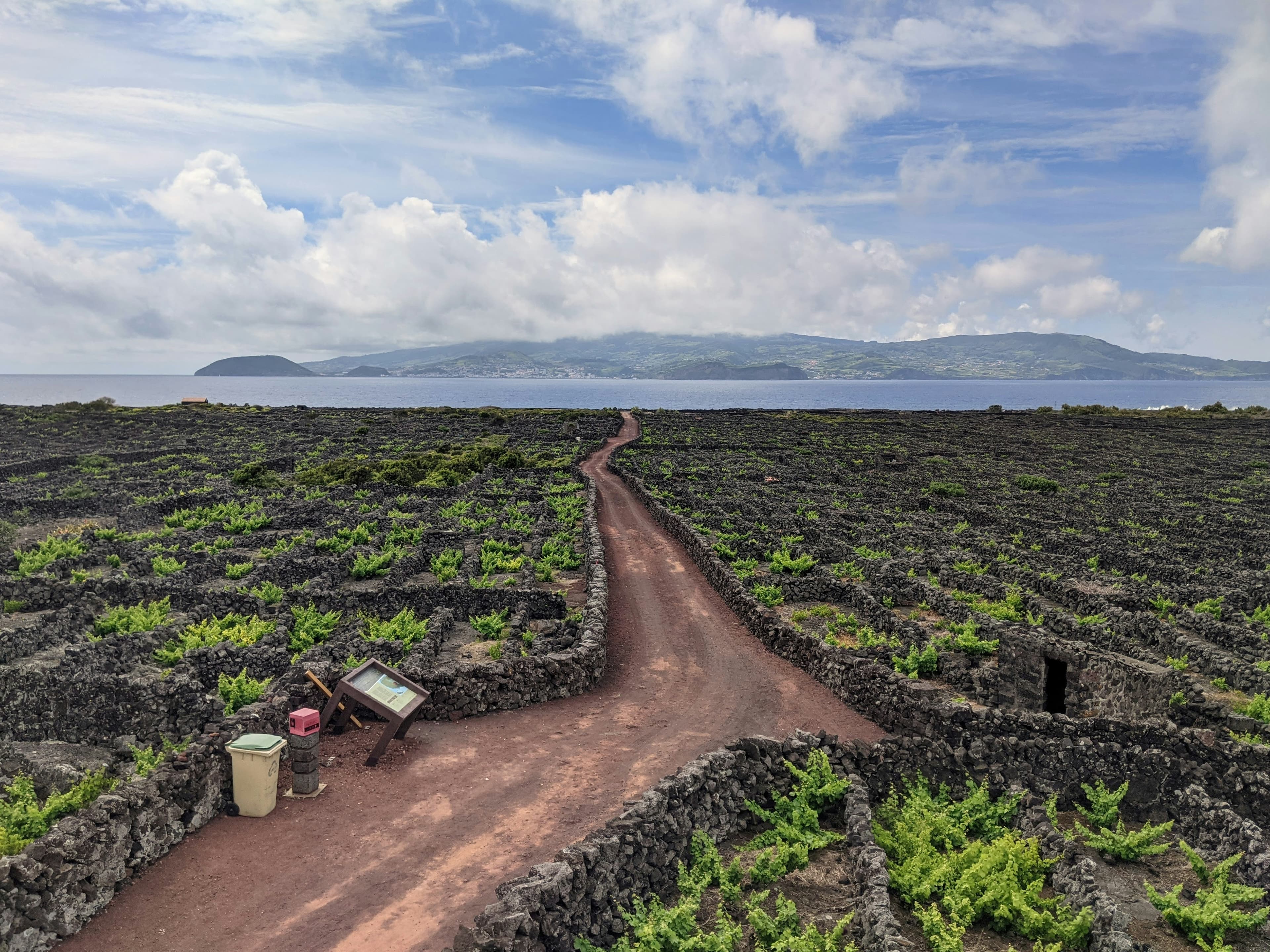 World Heritage vineyards